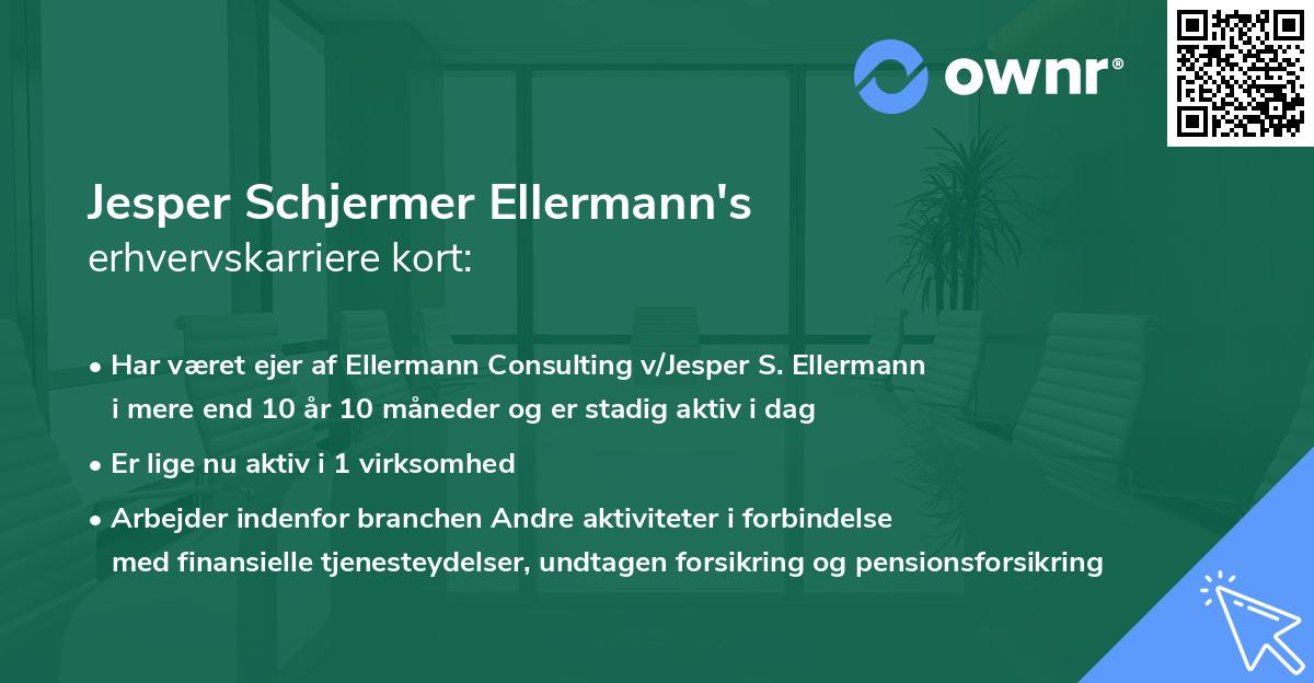 Jesper Schjermer Ellermann's erhvervskarriere kort