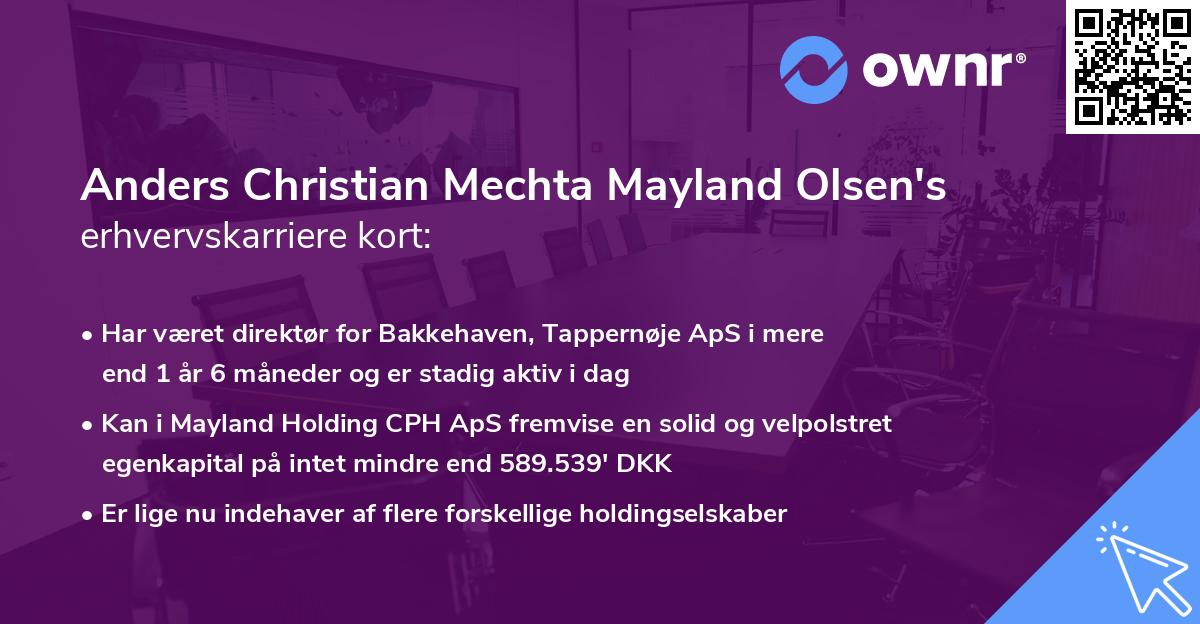 Anders Christian Mechta Mayland Olsen's erhvervskarriere kort