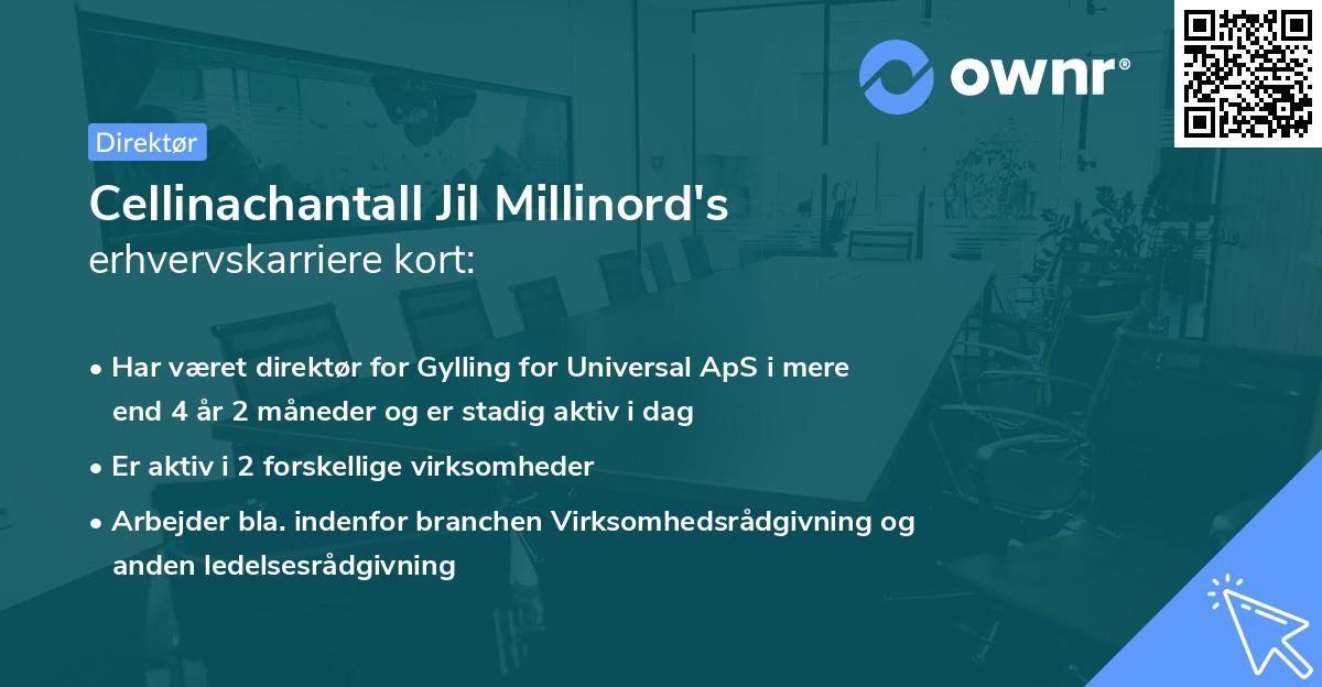 Cellinachantall Jil Millinord's erhvervskarriere kort