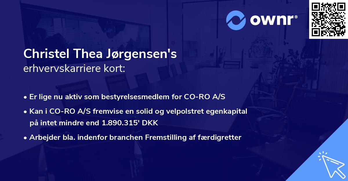 Christel Thea Jørgensen's erhvervskarriere kort