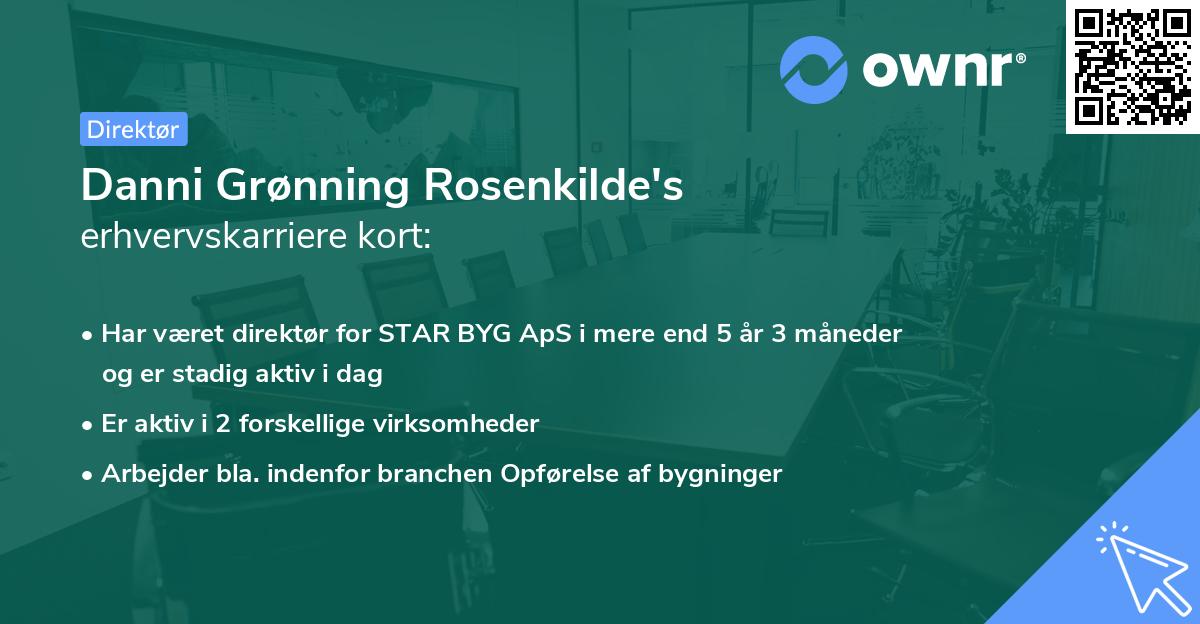 Danni Grønning Rosenkilde's erhvervskarriere kort