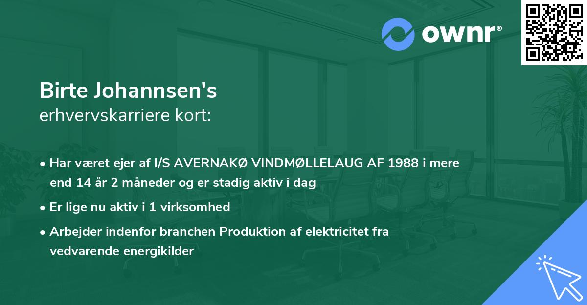 Birte Johannsen's erhvervskarriere kort