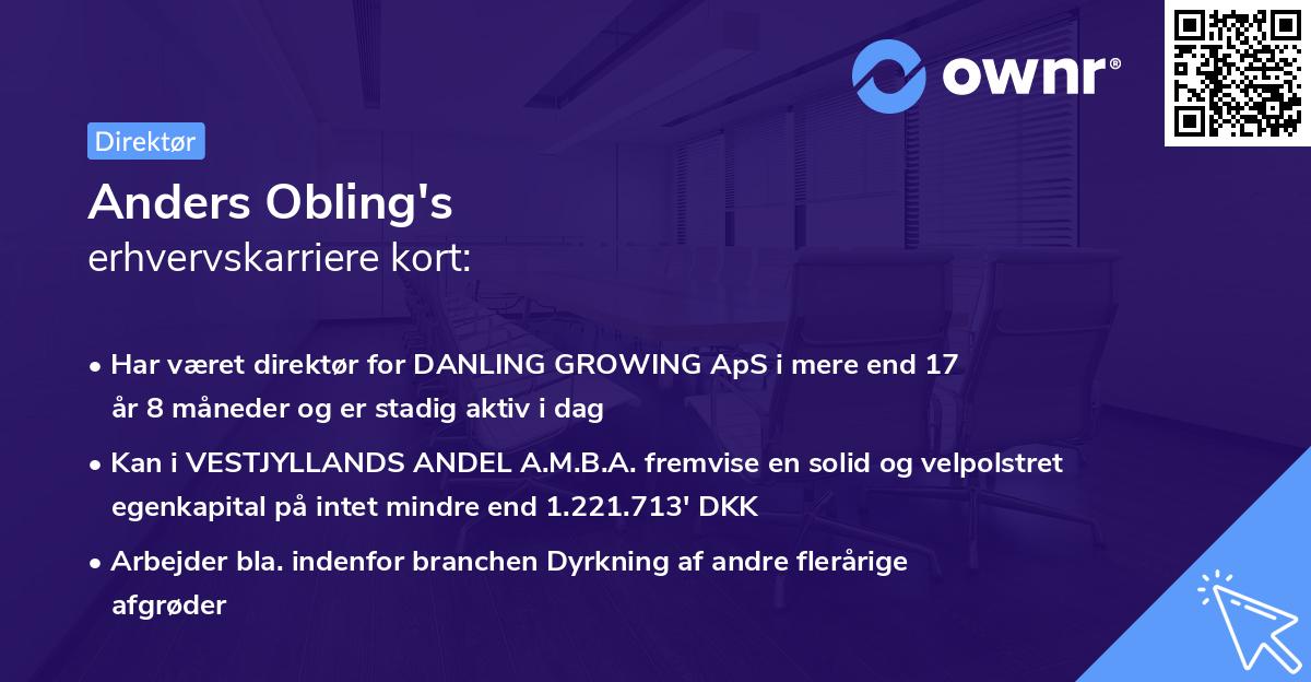 Anders Obling's erhvervskarriere kort
