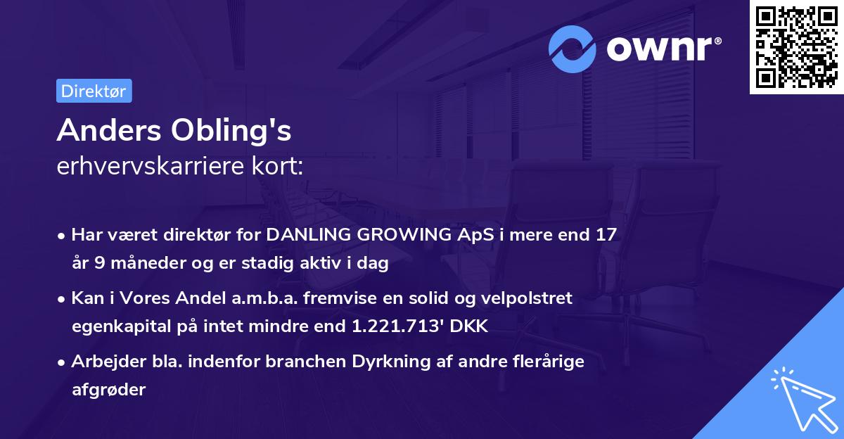 Anders Obling's erhvervskarriere kort