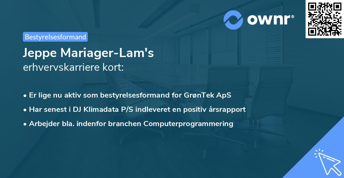 Jeppe Mariager-Lam's erhvervskarriere kort