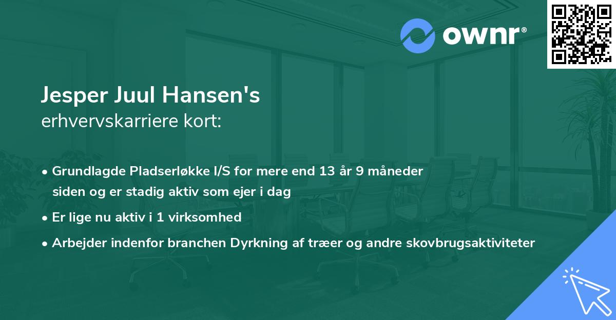Jesper Juul Hansen's erhvervskarriere kort
