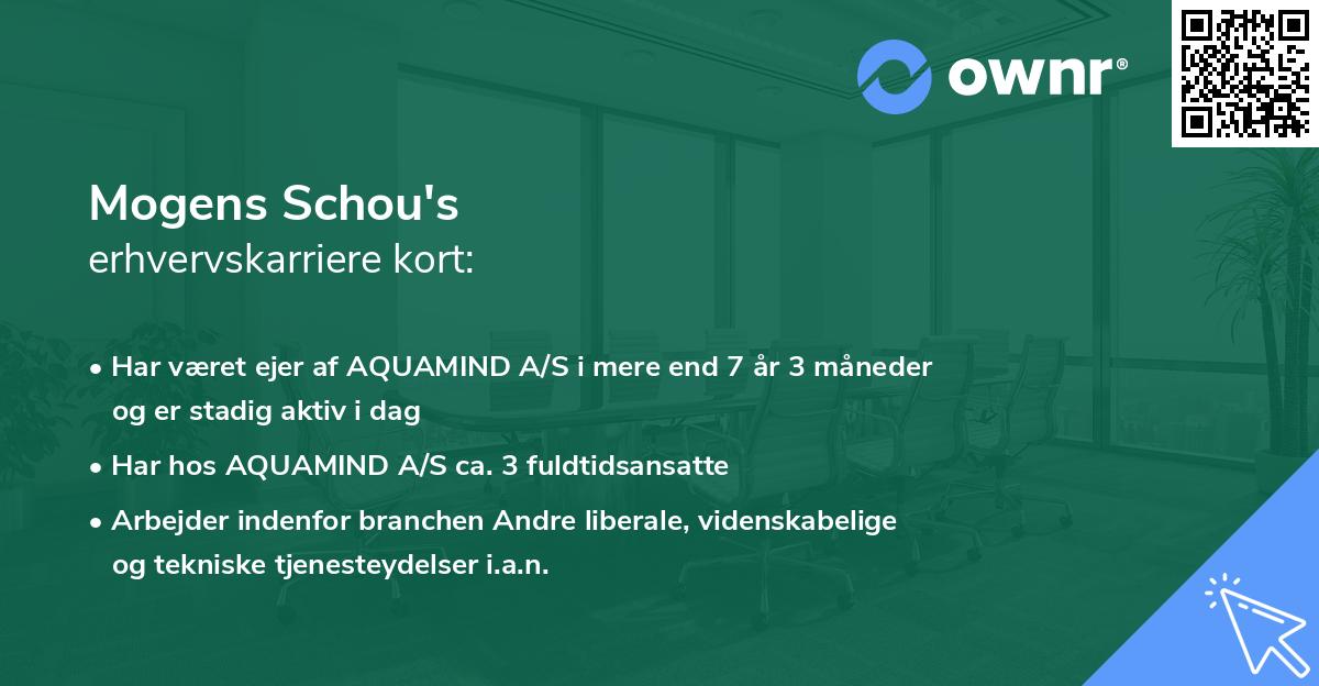 Mogens Schou's erhvervskarriere kort