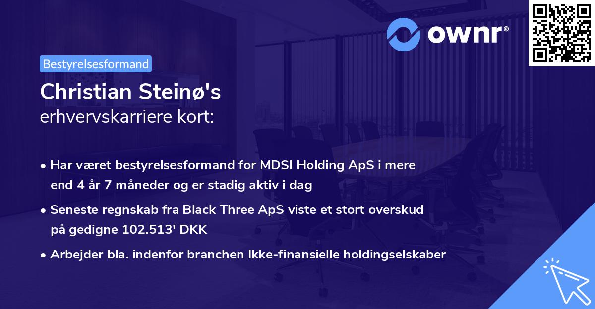 Christian Steinø's erhvervskarriere kort