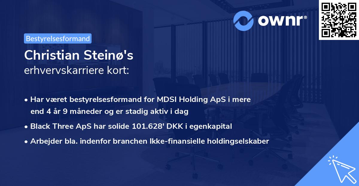 Christian Steinø's erhvervskarriere kort
