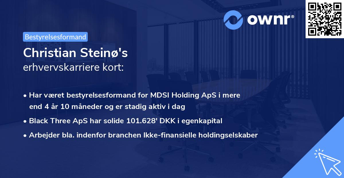 Christian Steinø's erhvervskarriere kort