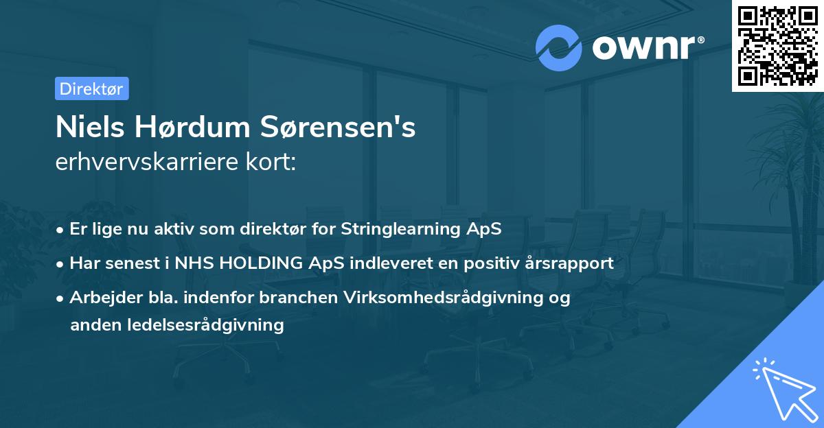 Niels Hørdum Sørensen's erhvervskarriere kort