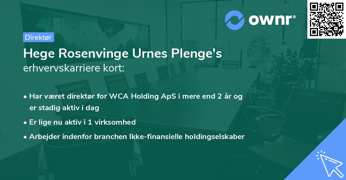Hege Rosenvinge Urnes Plenge's erhvervskarriere kort
