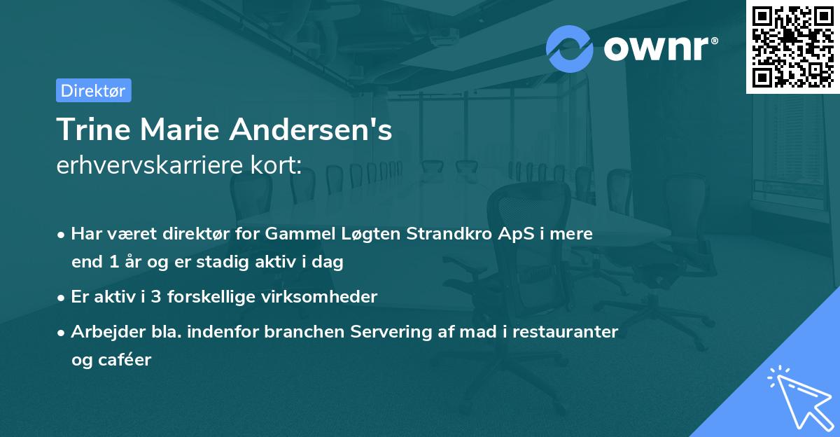 Trine Marie Andersen's erhvervskarriere kort