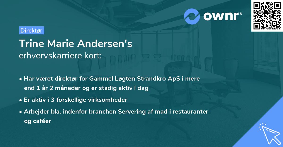Trine Marie Andersen's erhvervskarriere kort