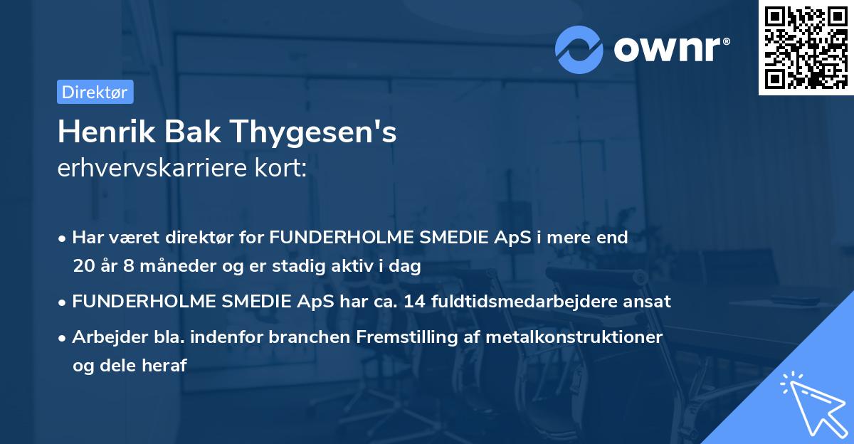 Henrik Bak Thygesen's erhvervskarriere kort