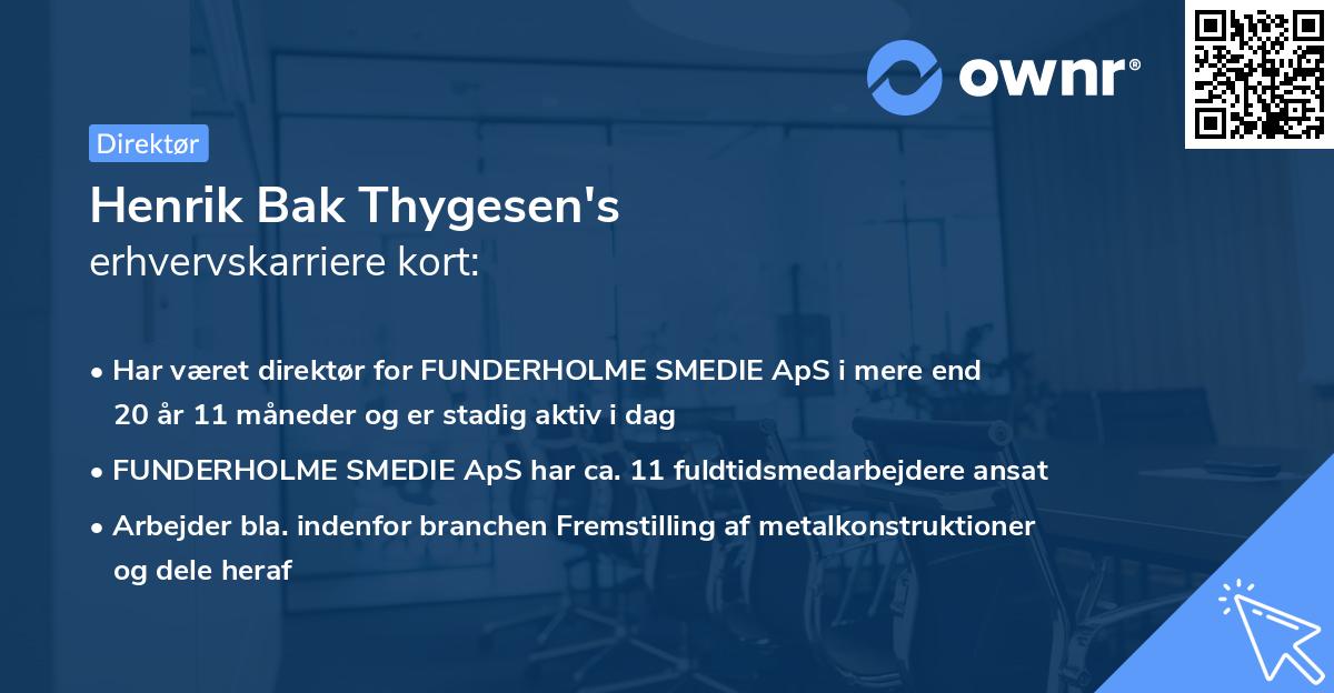 Henrik Bak Thygesen's erhvervskarriere kort
