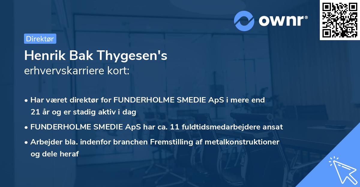 Henrik Bak Thygesen's erhvervskarriere kort