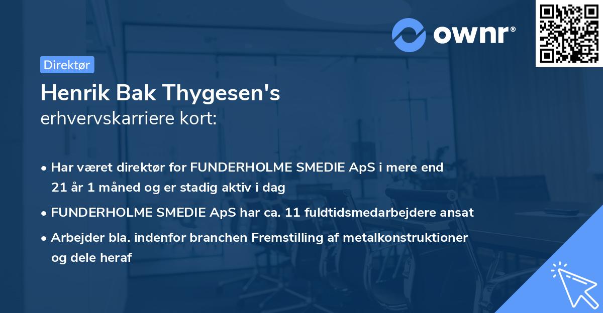 Henrik Bak Thygesen's erhvervskarriere kort