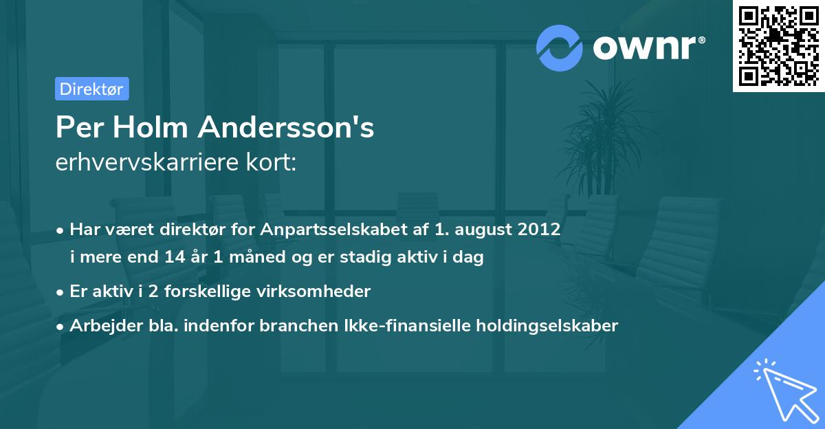 Per Holm Andersson's erhvervskarriere kort