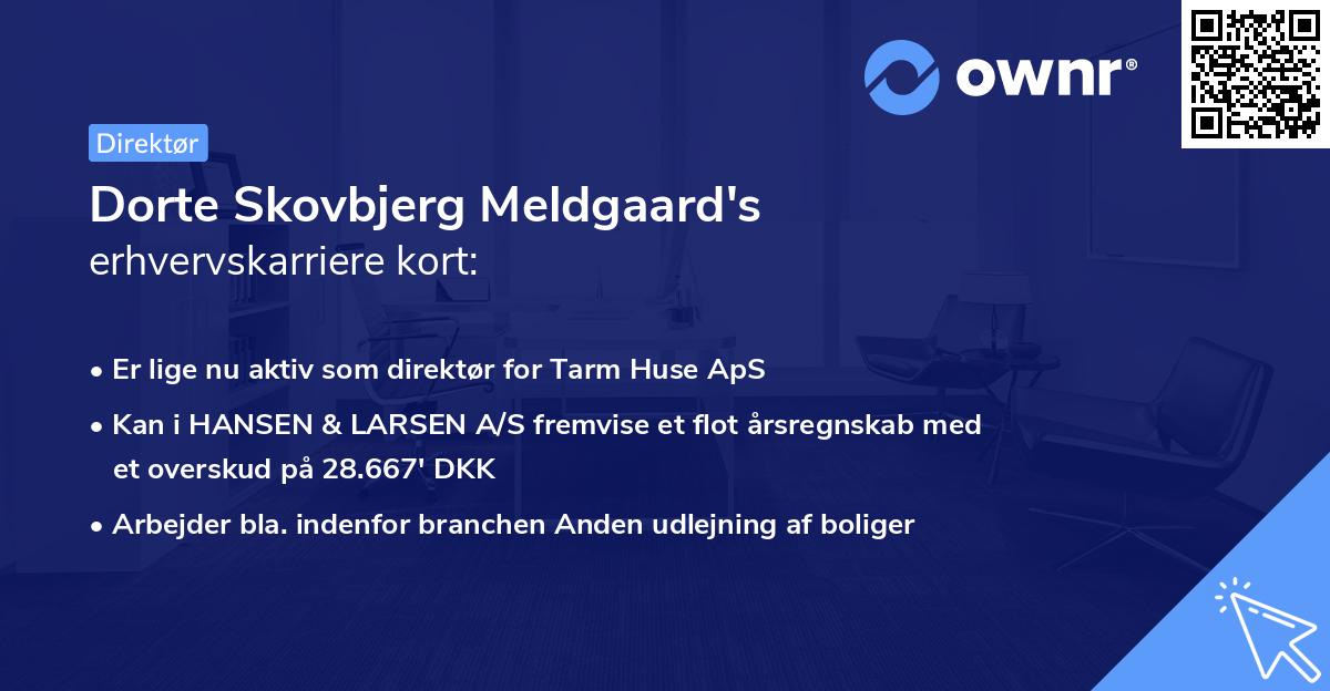 Dorte Skovbjerg Meldgaard's erhvervskarriere kort