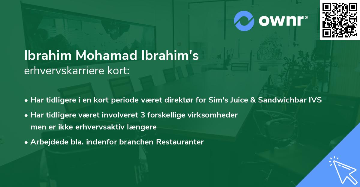 Ibrahim Mohamad Ibrahim's erhvervskarriere kort