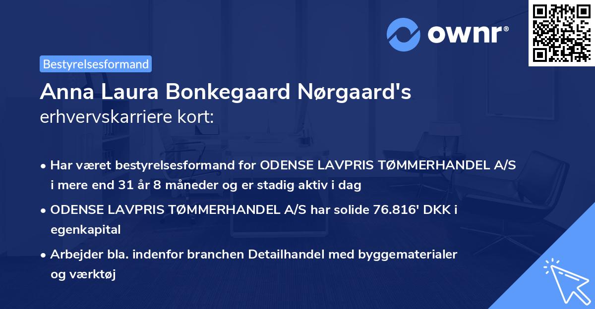 Anna Laura Bonkegaard Nørgaard's erhvervskarriere kort