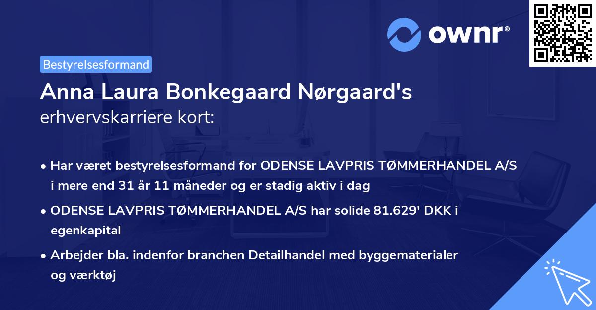 Anna Laura Bonkegaard Nørgaard's erhvervskarriere kort