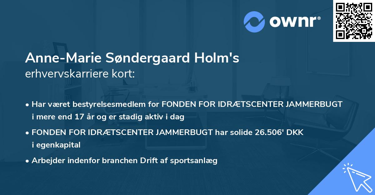 Anne-Marie Søndergaard Holm's erhvervskarriere kort