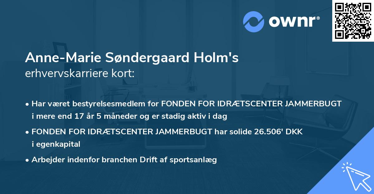 Anne-Marie Søndergaard Holm's erhvervskarriere kort