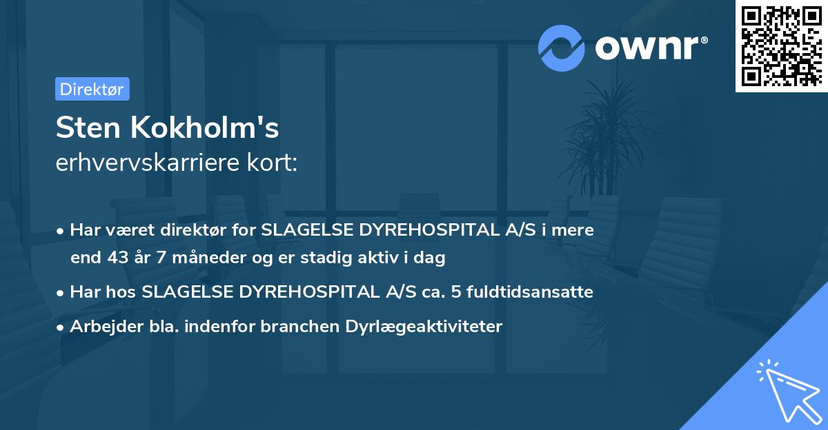 Sten Kokholm's erhvervskarriere kort