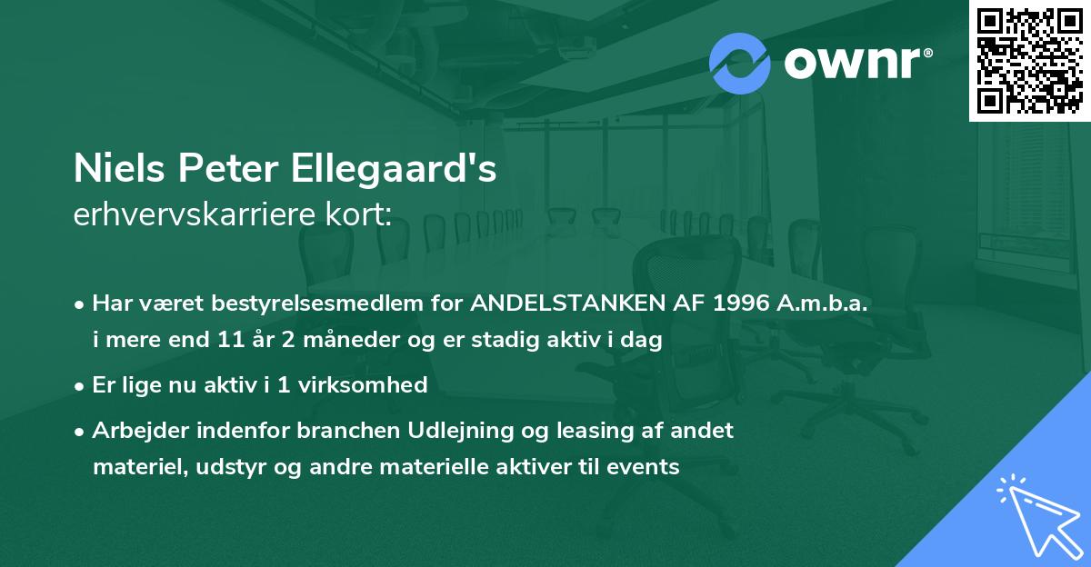 Niels Peter Ellegaard's erhvervskarriere kort