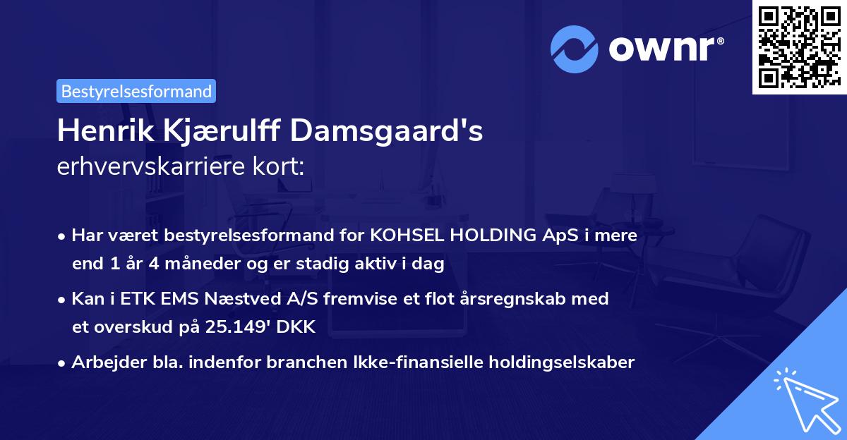 Henrik Kjærulff Damsgaard's erhvervskarriere kort