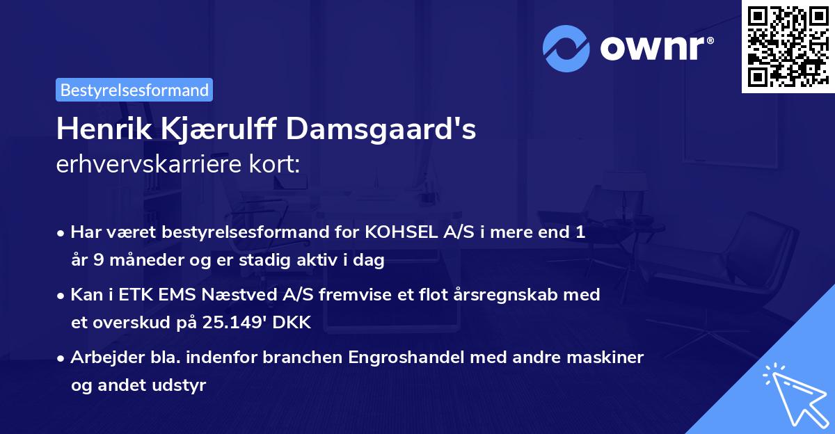 Henrik Kjærulff Damsgaard's erhvervskarriere kort