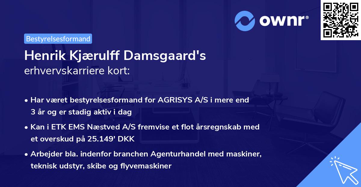 Henrik Kjærulff Damsgaard's erhvervskarriere kort