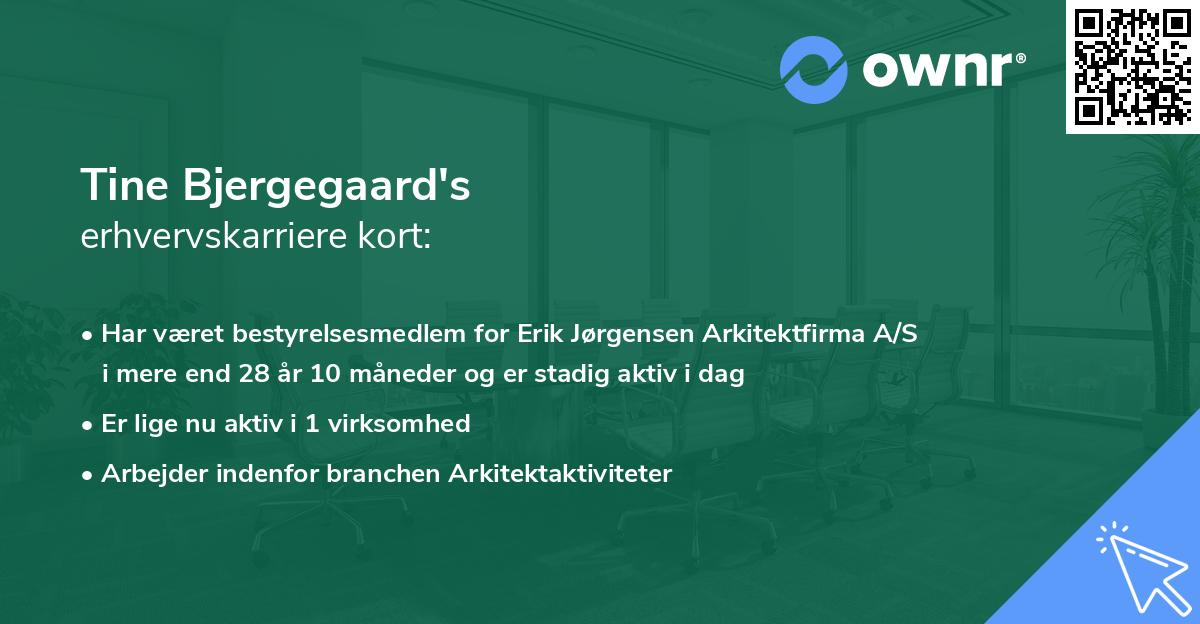 Tine Bjergegaard's erhvervskarriere kort