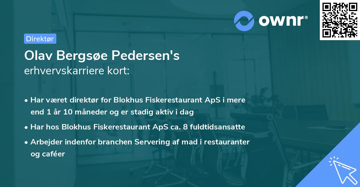 Olav Bergsøe Pedersen's erhvervskarriere kort