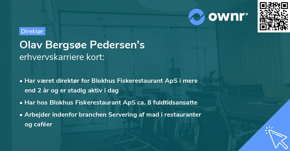 Olav Bergsøe Pedersen's erhvervskarriere kort