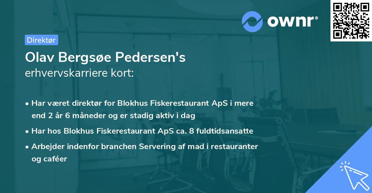 Olav Bergsøe Pedersen's erhvervskarriere kort