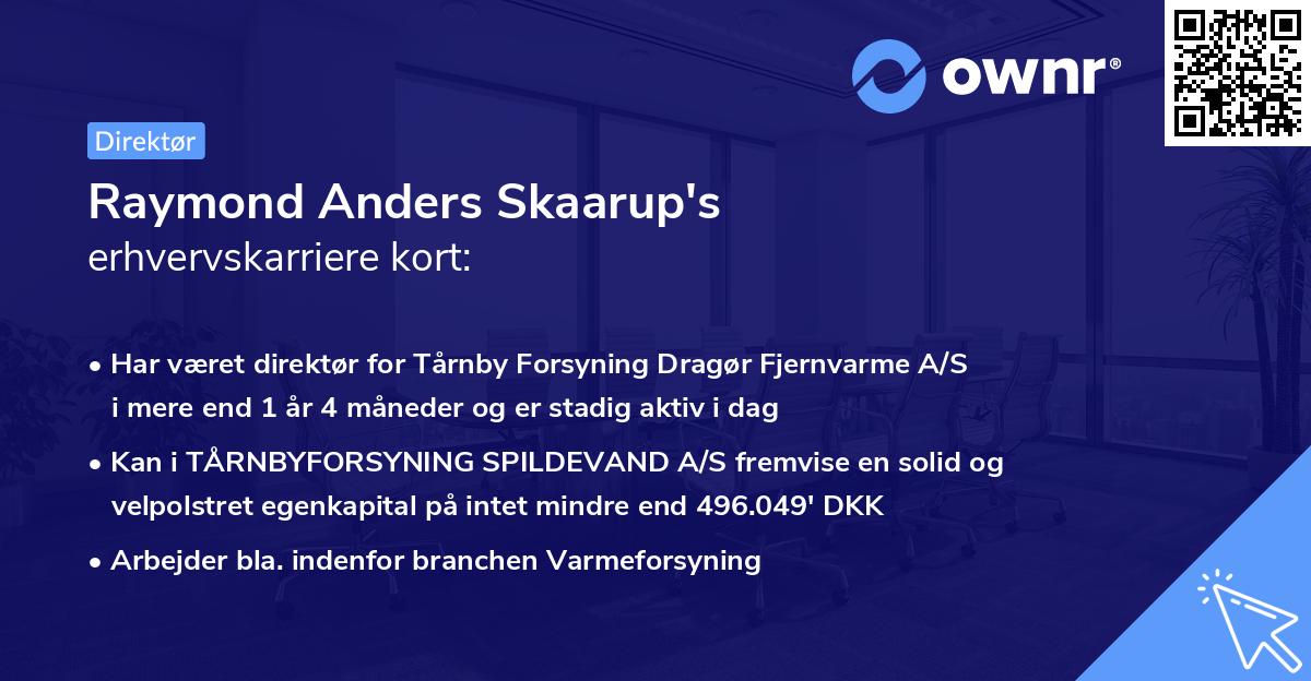 Raymond Anders Skaarup's erhvervskarriere kort