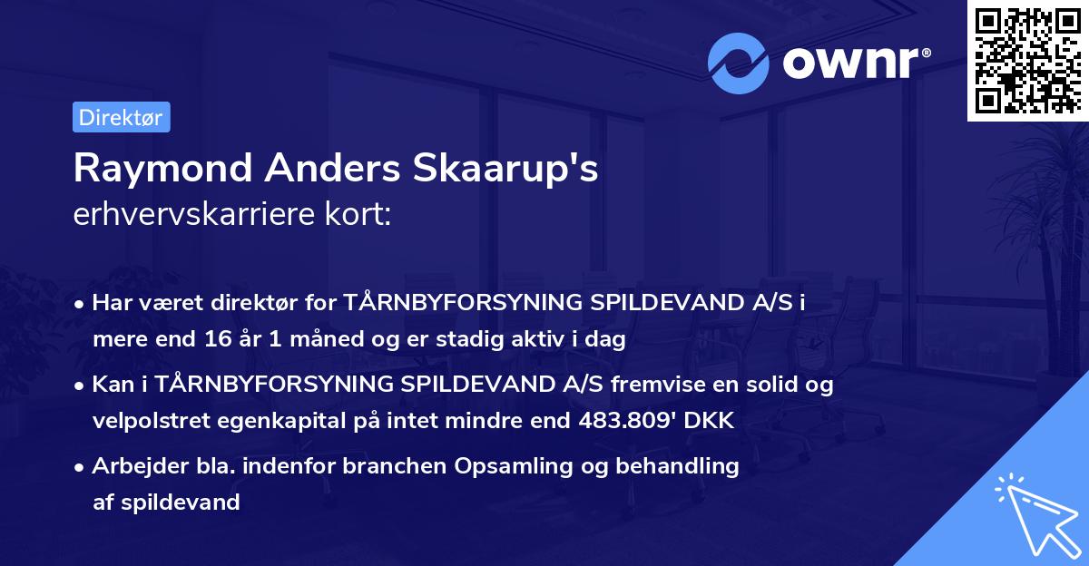 Raymond Anders Skaarup's erhvervskarriere kort