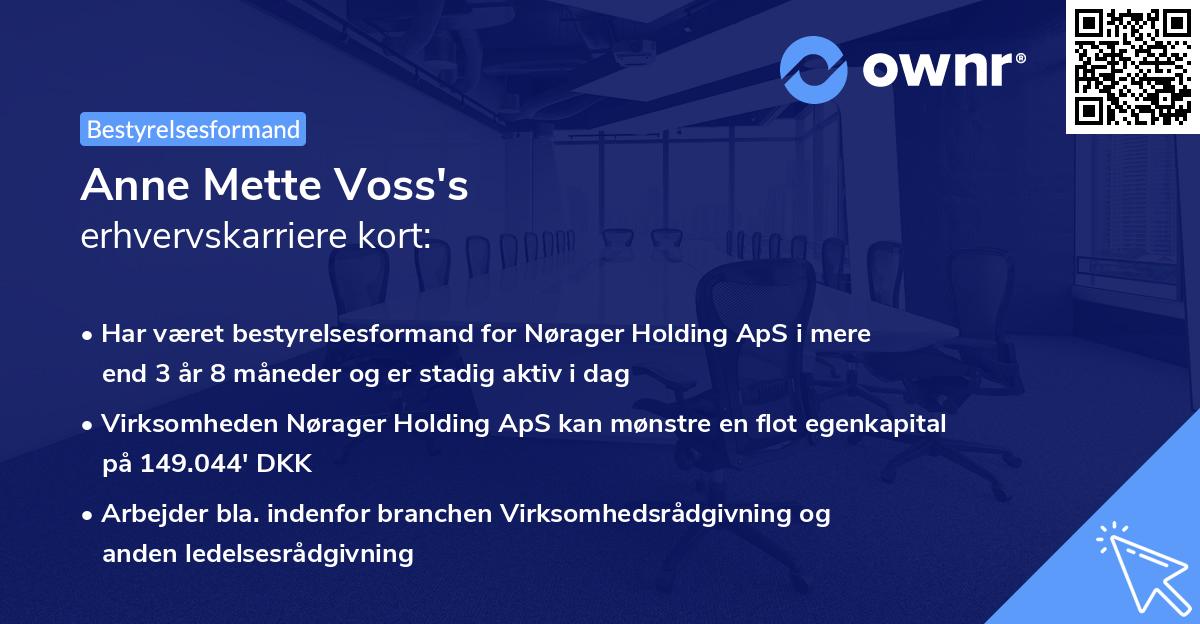 Anne Mette Voss's erhvervskarriere kort