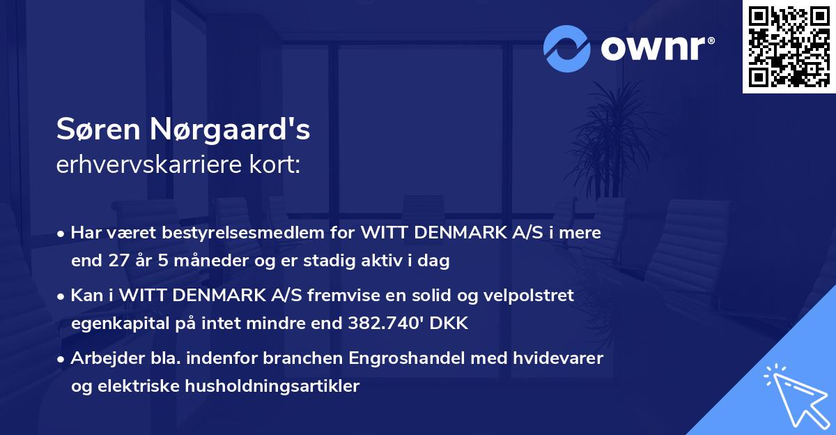 Søren Nørgaard's erhvervskarriere kort