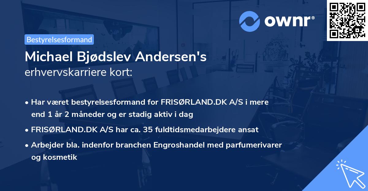Michael Bjødslev Andersen's erhvervskarriere kort