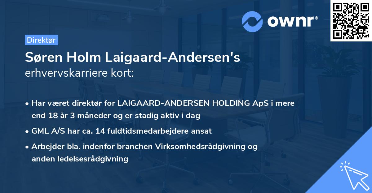 Søren Holm Laigaard-Andersen's erhvervskarriere kort