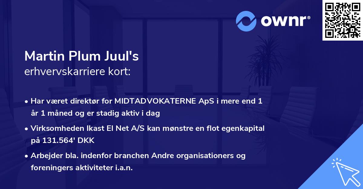 Martin Plum Juul's erhvervskarriere kort