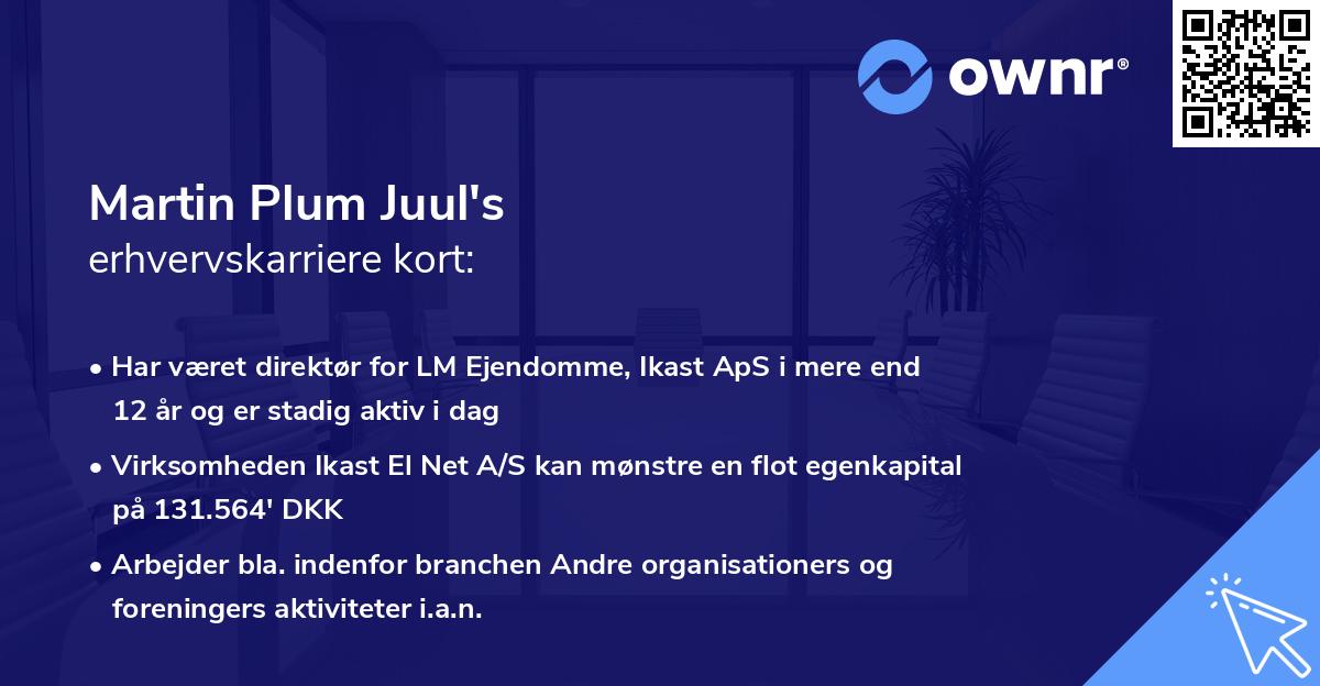 Martin Plum Juul's erhvervskarriere kort