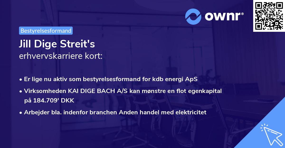 Jill Dige Streit's erhvervskarriere kort