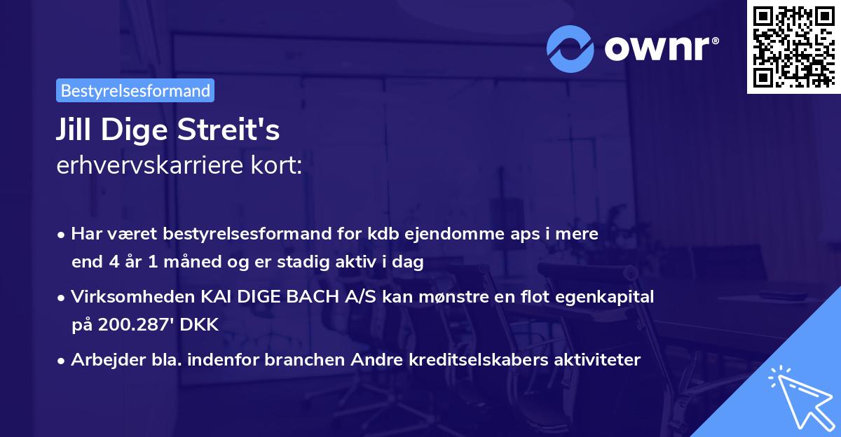 Jill Dige Streit's erhvervskarriere kort