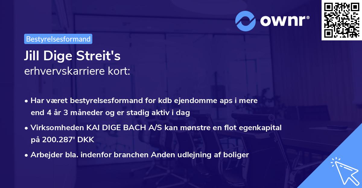 Jill Dige Streit's erhvervskarriere kort