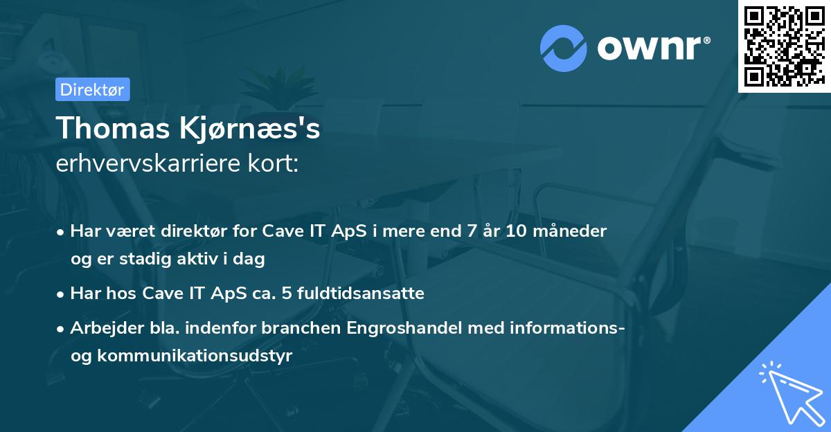 Thomas Kjørnæs's erhvervskarriere kort